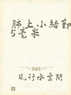 肺上小结节3到5毫米