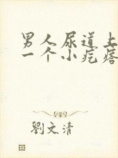 男人尿道上长了一个小疙瘩