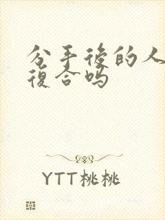 分手后的人还能复合吗封面