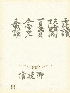 乔念夏陆霆燚小说免费阅读