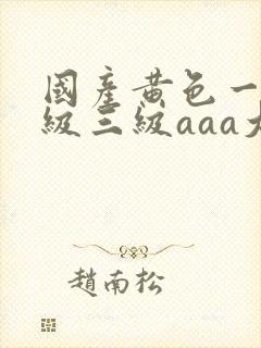 国产黄色一级二级三级aaa大片