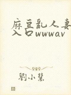 麻豆乱人妻精品入口wwwav