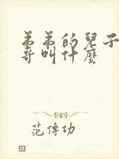 弟弟的儿子叫哥哥叫什么