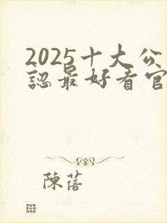 2025十大公认最好看官场小说