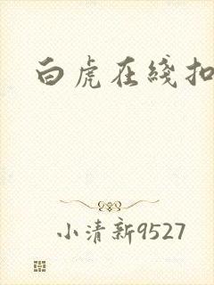 白虎在线扣逼
