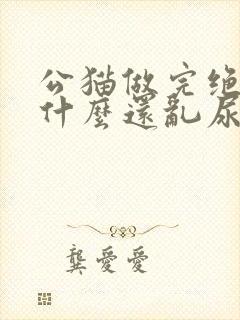 公猫做完绝育为什么还乱尿