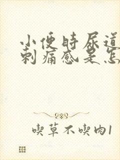 小便时尿道口有刺痛感是怎么回事