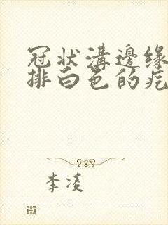 冠状沟边缘长一排白色的疙瘩