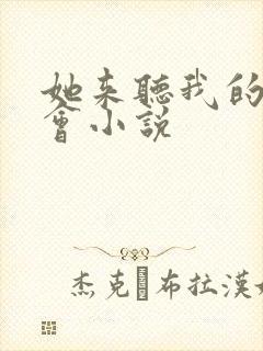 她来听我的演唱会小说封面