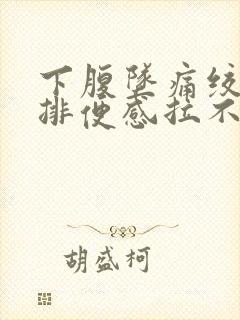 下腹坠痛绞痛有排便感拉不出