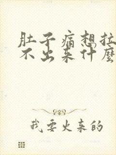 肚子痛想拉又拉不出来什么原因