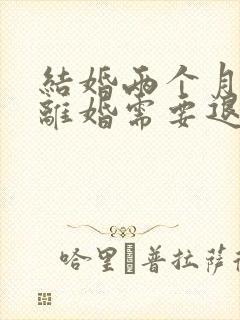 结婚两个月家暴离婚需要退彩礼吗