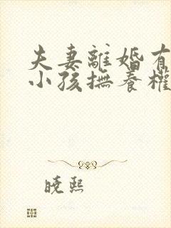 夫妻离婚有两个小孩抚养权怎么判