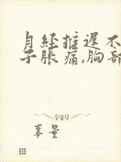 月经推迟不来肚子胀痛,胸部也胀痛