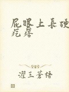 屁眼上长硬硬的疙瘩封面