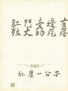 肛门旁边有个豆粒大的疙瘩封面