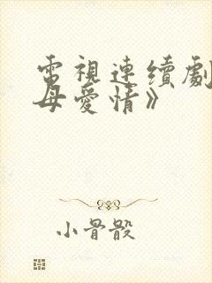 电视连续剧《父母爱情》