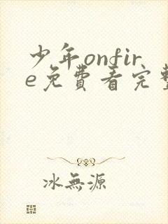 少年onfire免费看完整版