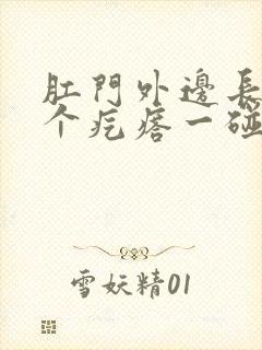 肛门外边长了一个疙瘩一碰就疼封面