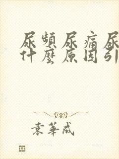 尿频尿痛尿出血什么原因引起的