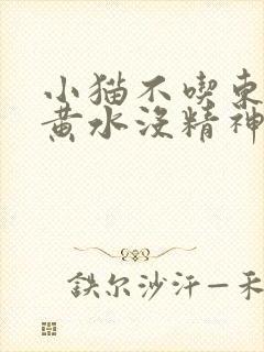 小猫不吃东西吐黄水没精神