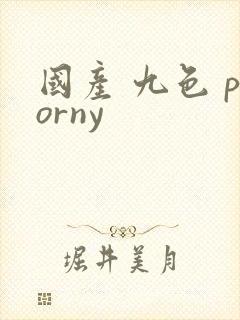 国产 九色 porny封面