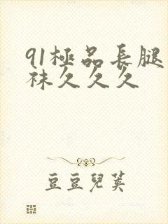 91极品长腿丝袜久久久封面