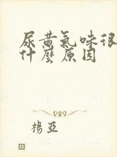 尿黄气味很重是什么原因