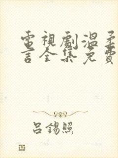 电视剧温柔的谎言全集免费观看