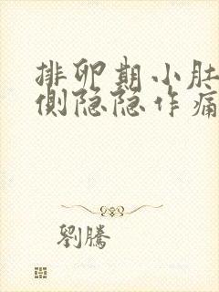 排卵期小肚子两侧隐隐作痛封面