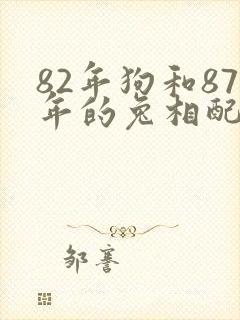 82年狗和87年的兔相配吗封面