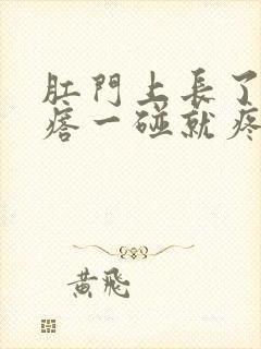 肛门上长了个疙瘩一碰就疼