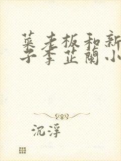 菜老板和新婚妻子李芷兰小说