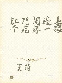 肛门周边长了一个疙瘩一碰有点疼封面