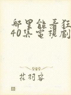 哪里能看狂飙全40集电视剧封面