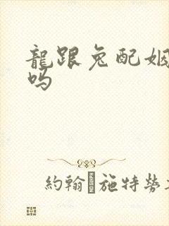 龙跟兔配姻缘好吗封面