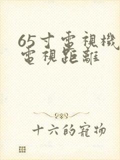 65寸电视机看电视距离