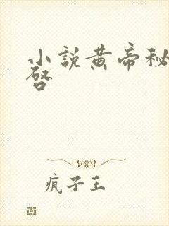 小说黄帝秘藏陈启封面