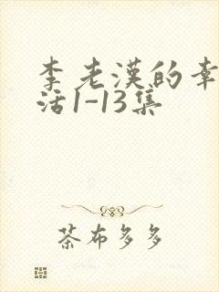 李老汉的幸福生活1-13集