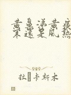 黄鼻涕黄痰是风寒还是风热封面