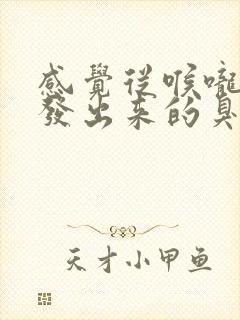 感觉从喉咙里散发出来的臭气