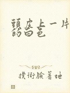 头皮上一片一片的白色