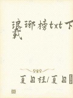 琅琊榜txt下载