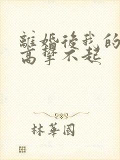 离婚后我的前妻高攀不起