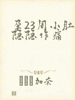 孕23周小肚子隐隐作痛