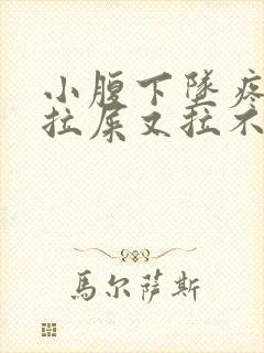 小腹下坠疼痛想拉屎又拉不出来