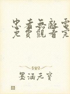 忠者无敌电视剧免费观看完整版封面