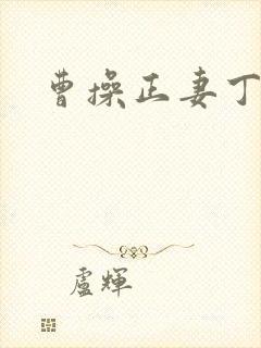 曹操正妻丁夫人