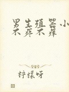 男生殖器小疙瘩不疼不痒