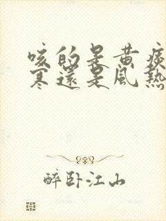 咳的是黄痰是风寒还是风热封面